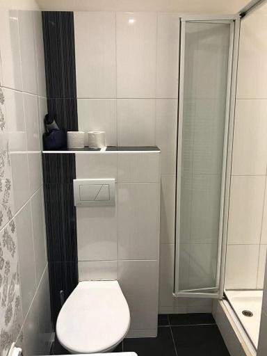 Stara Louka Apartments Карлови Вари Екстериор снимка